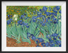 Irises of Vincent van Gogh