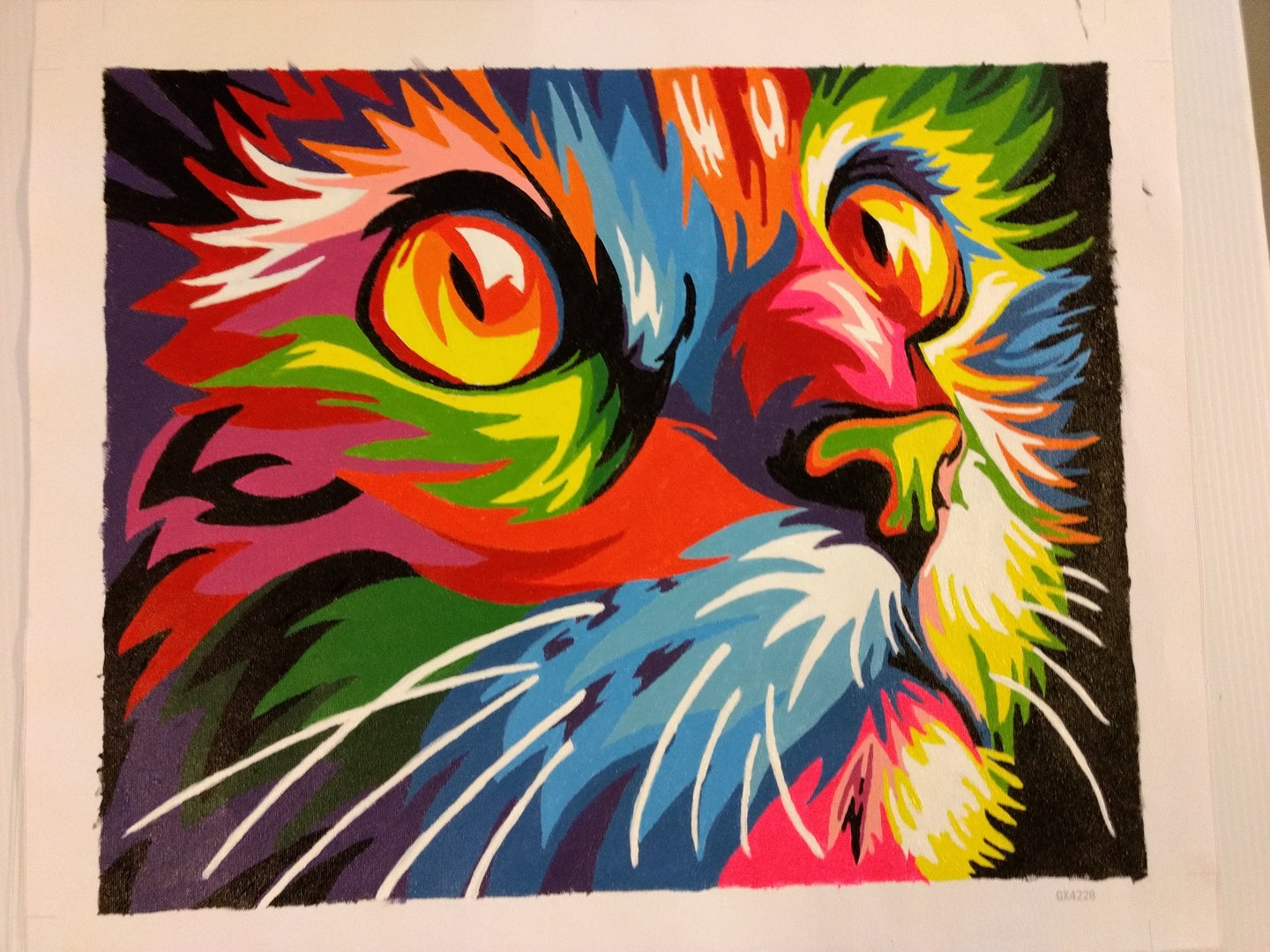 Abstract Colorful Cat - Paint by Numbers for Adults