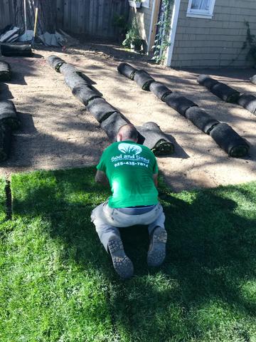 prepping and installing sod lawn