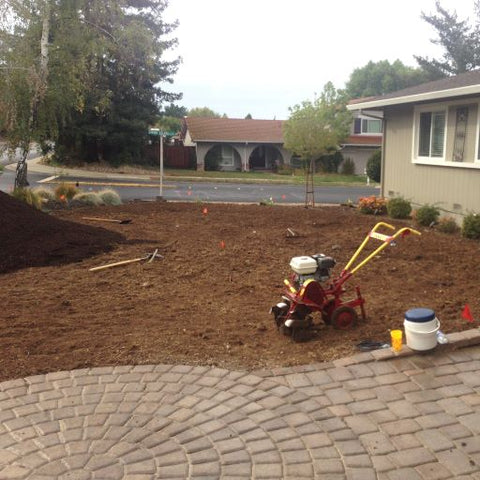 sod installation