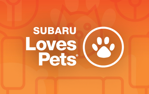 subaru loves pets