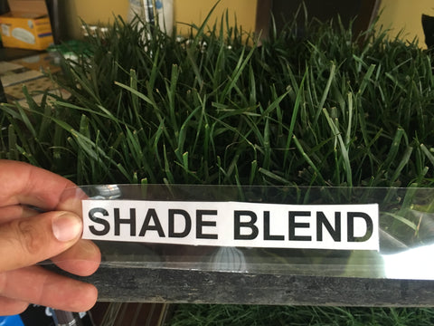 Grass for shade