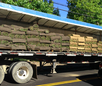 California sod and grass types for delivery