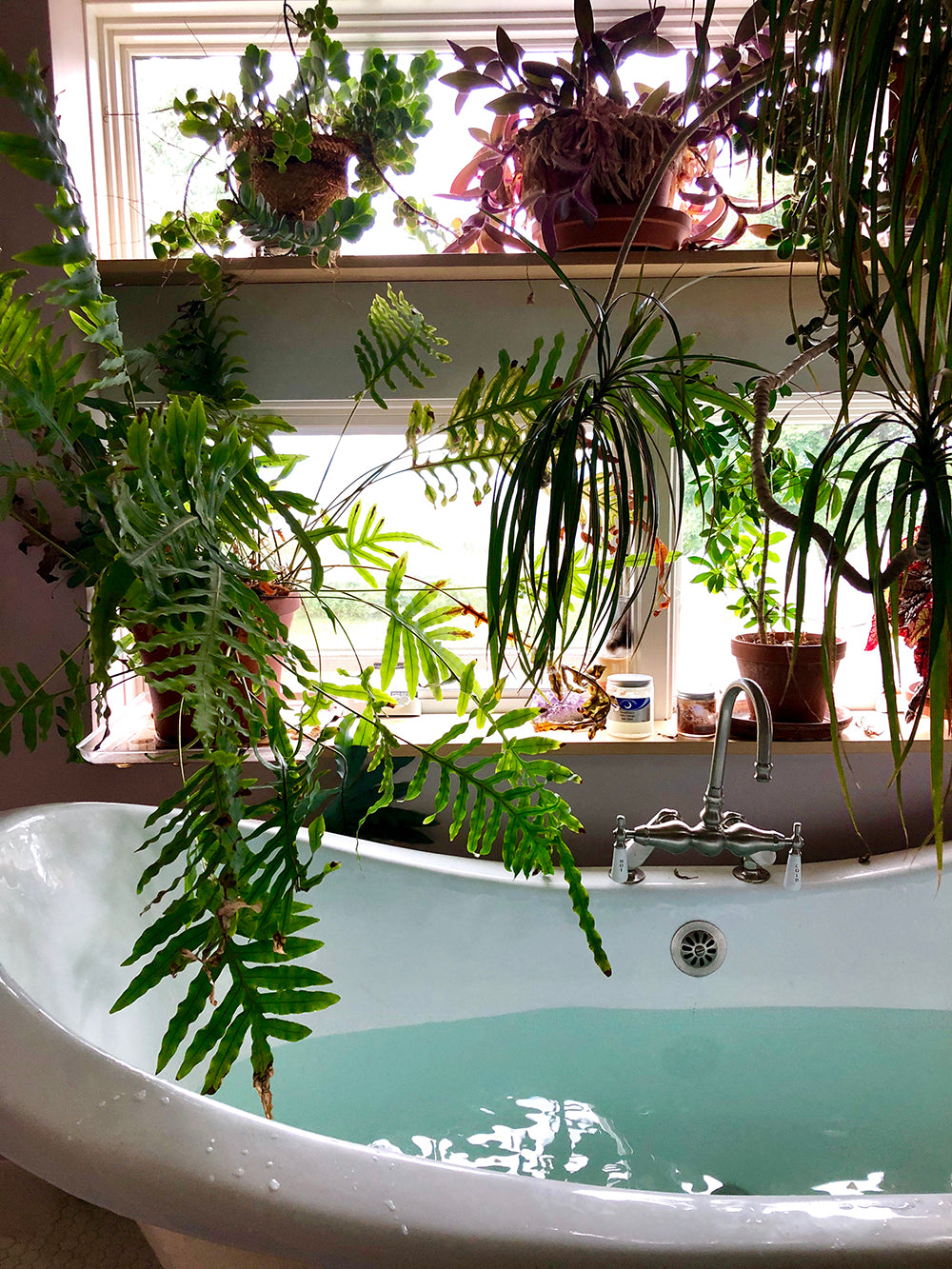 botanical bath