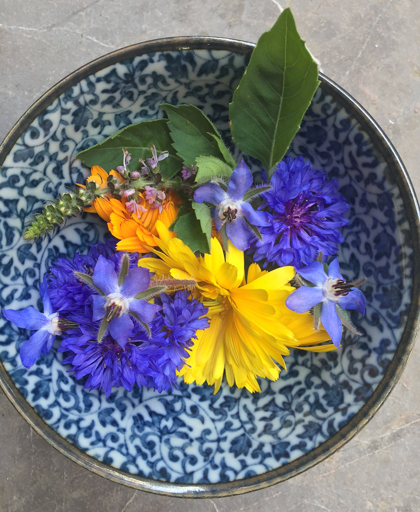 Your Ultimate Guide to Edible Flowers and Their Uses - Utopia