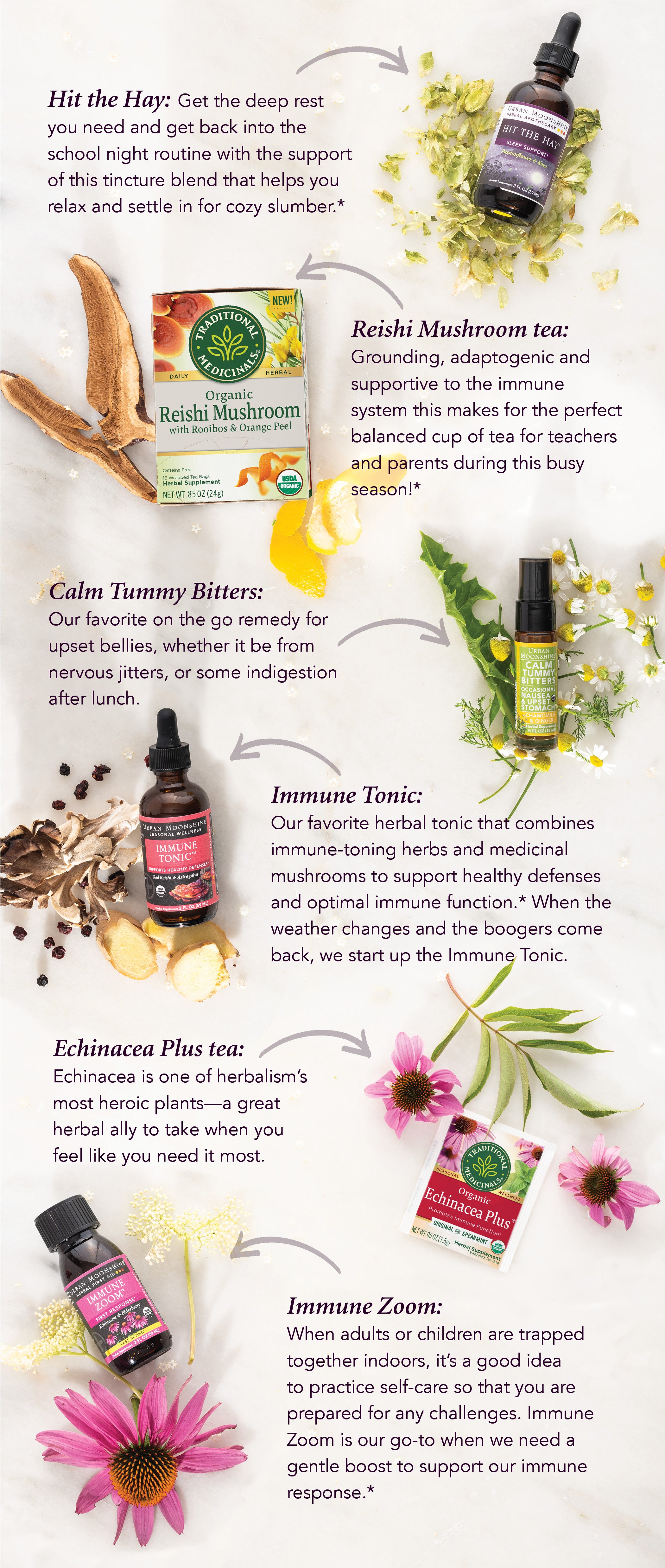 Back To School With Herbs Infogram