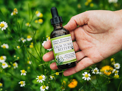 Calm Tummy Bitters in hand with chamomile