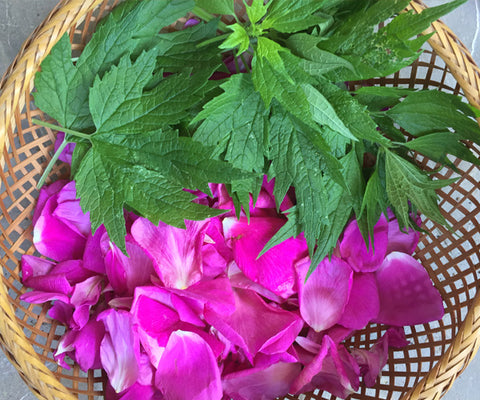 Four Power Herbs for Summer - Rose & Mugwort