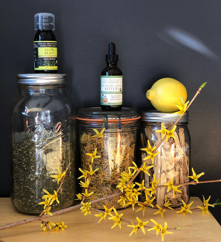 Bulk herbs, Urban Moonshine products, forsythia