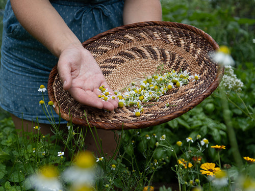 jovial gardening excerpt