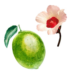 lime-hibiscus