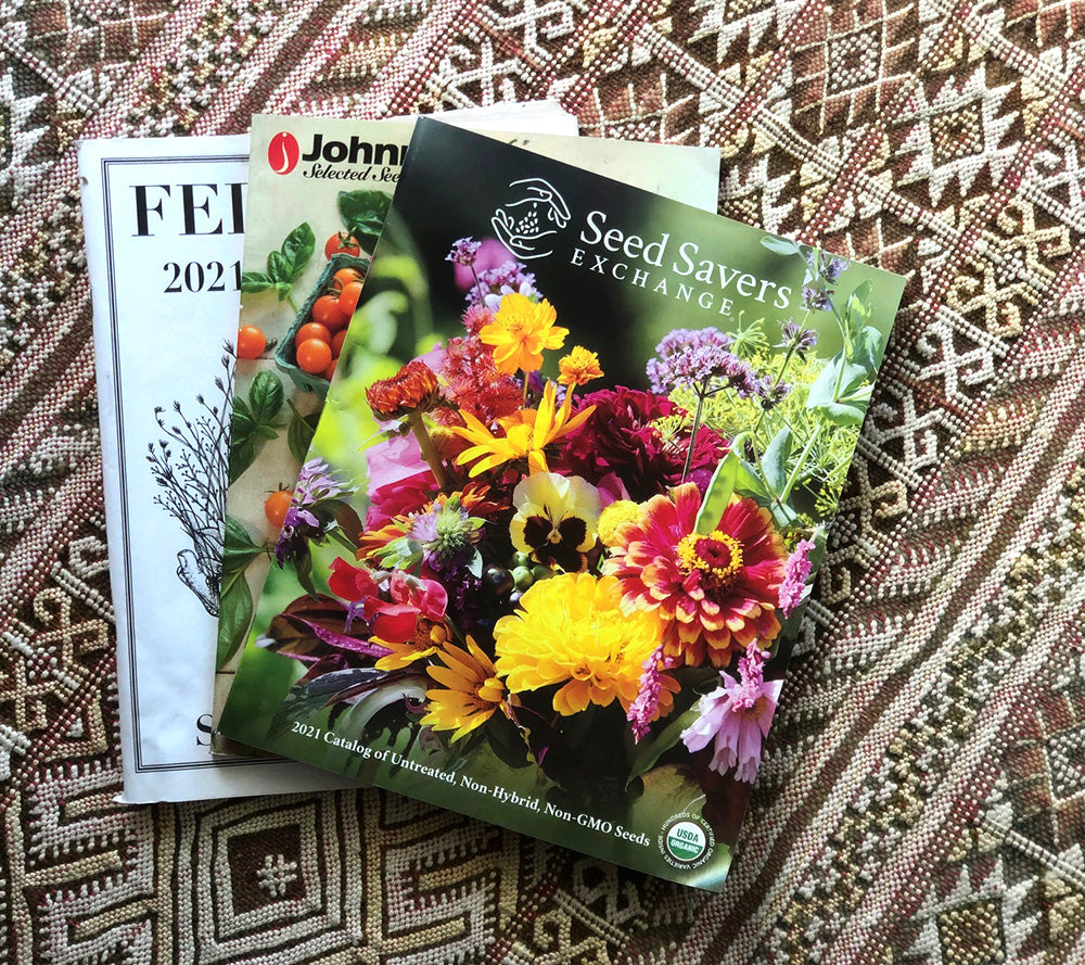 seed savers and other seed catalogs