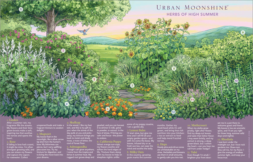 Urban Moonshine Summer Herbal Bounty Poster