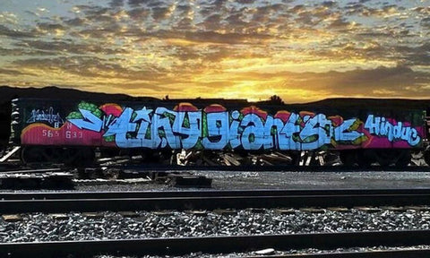 train graffiti art