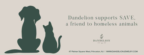 Dandelion in Princeton SAVE A Friend to Homeless Animals