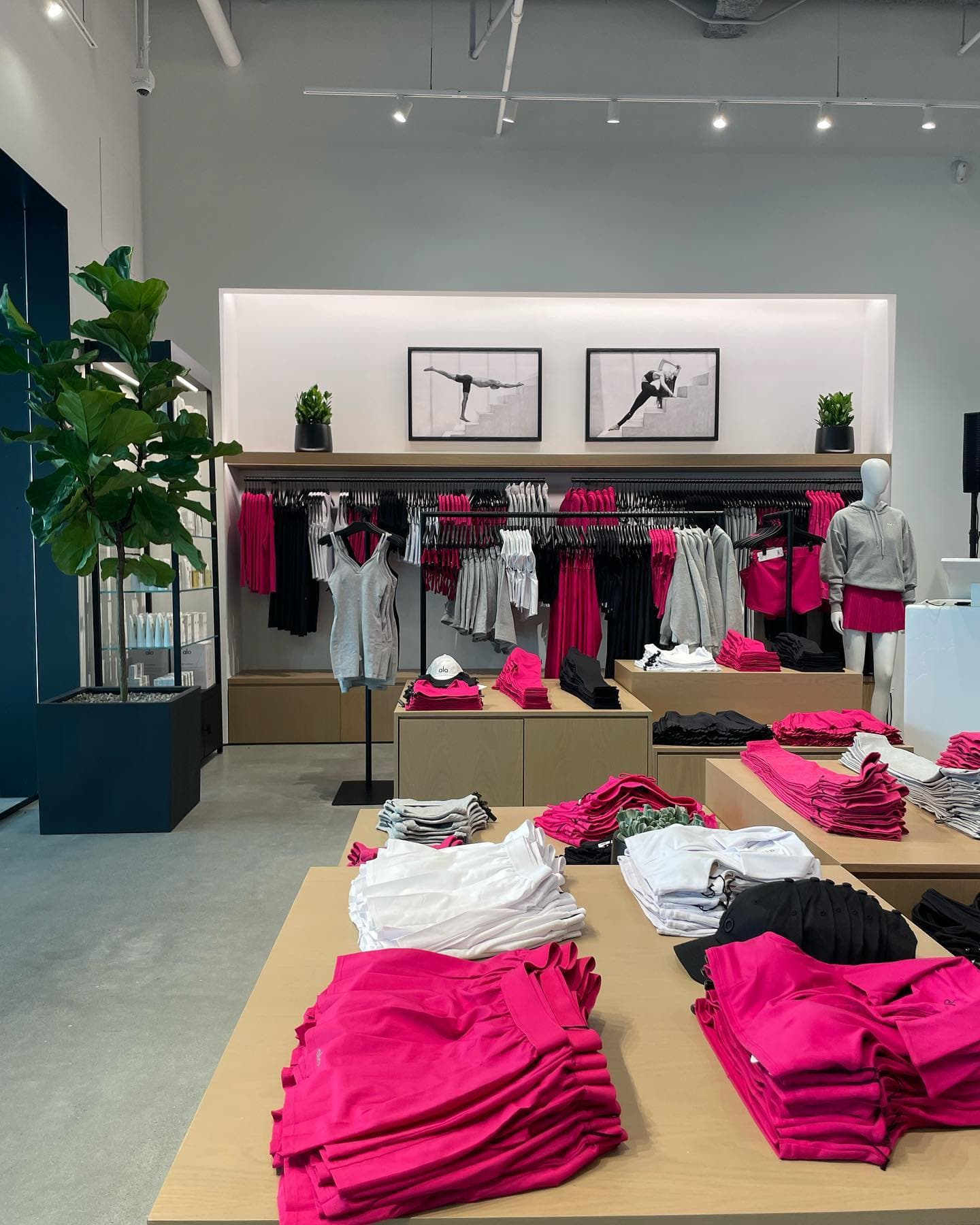 A photo inside of the Alo Yoga store at The Westchester in White Plains, New York featuring the newest color Magenta Crush among other black and white apparel.