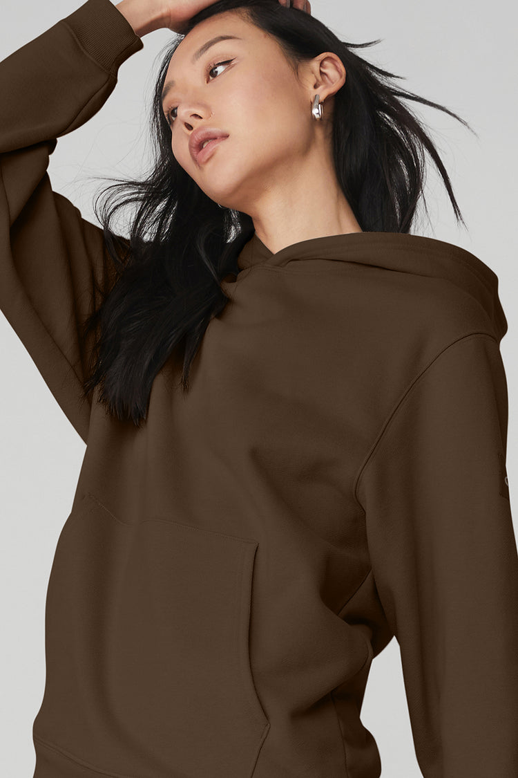 alo Accolade Hoodie in Espresso