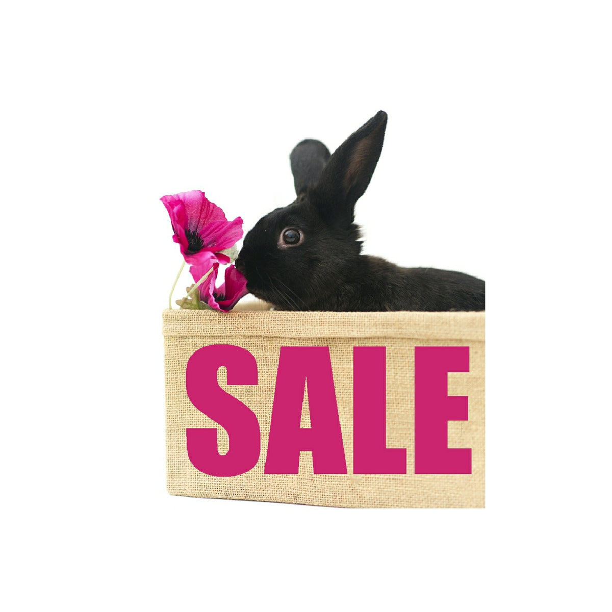 Bunny Creations Gifts, jewellry, stationery, cards, magazines &amp; more