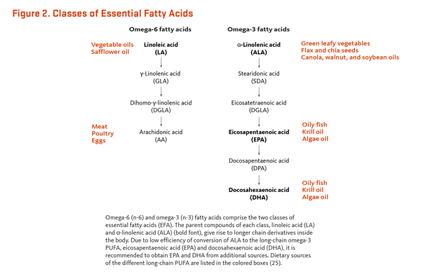 Classes of Essential fatty acids