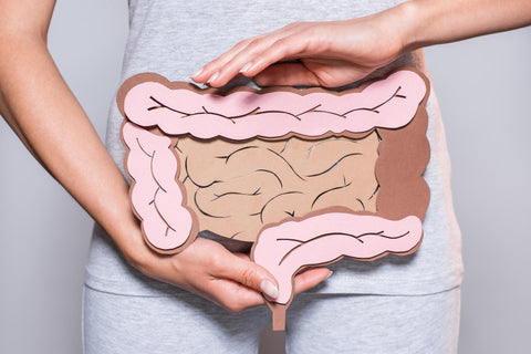 Woman holding a cut-out of the digestive system.