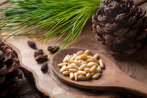 A spoon full of pine nuts and a pine cone.