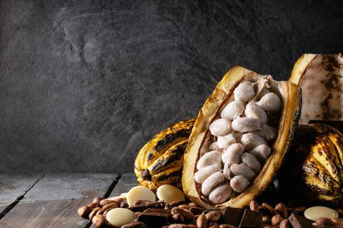 Cacao fruit decorated with fresh and dry cacao beans