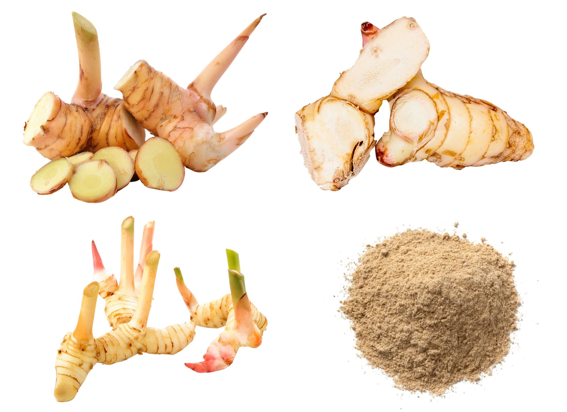 Ginger vs. Galangal Differences