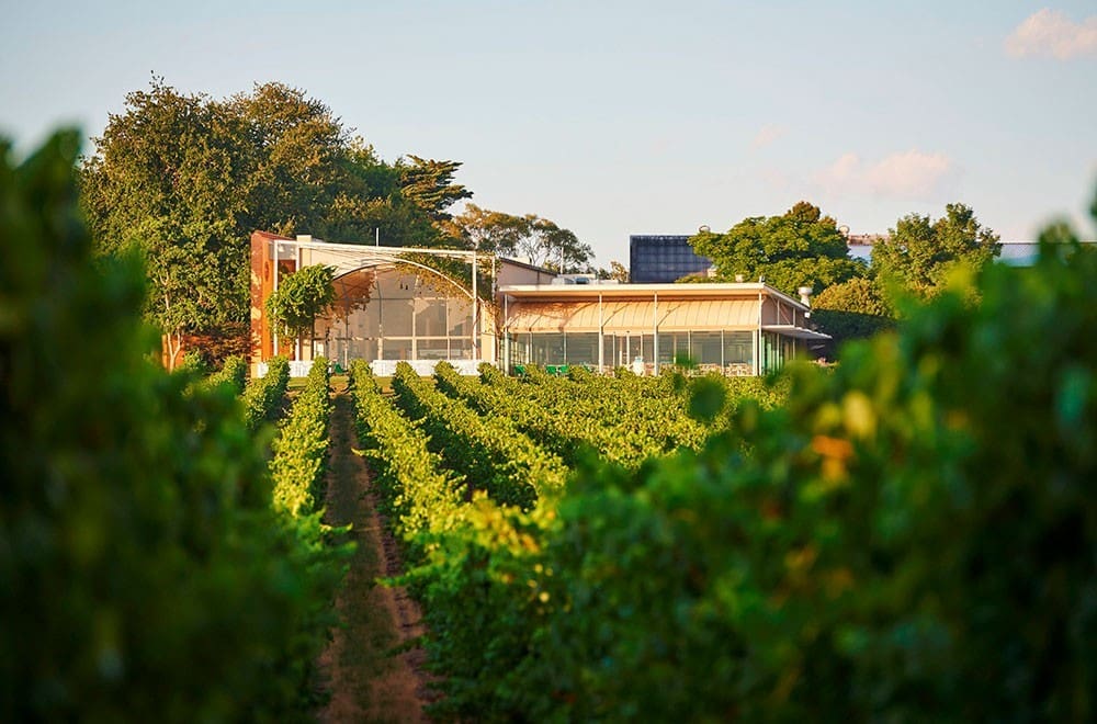 Domaine Chandon winery