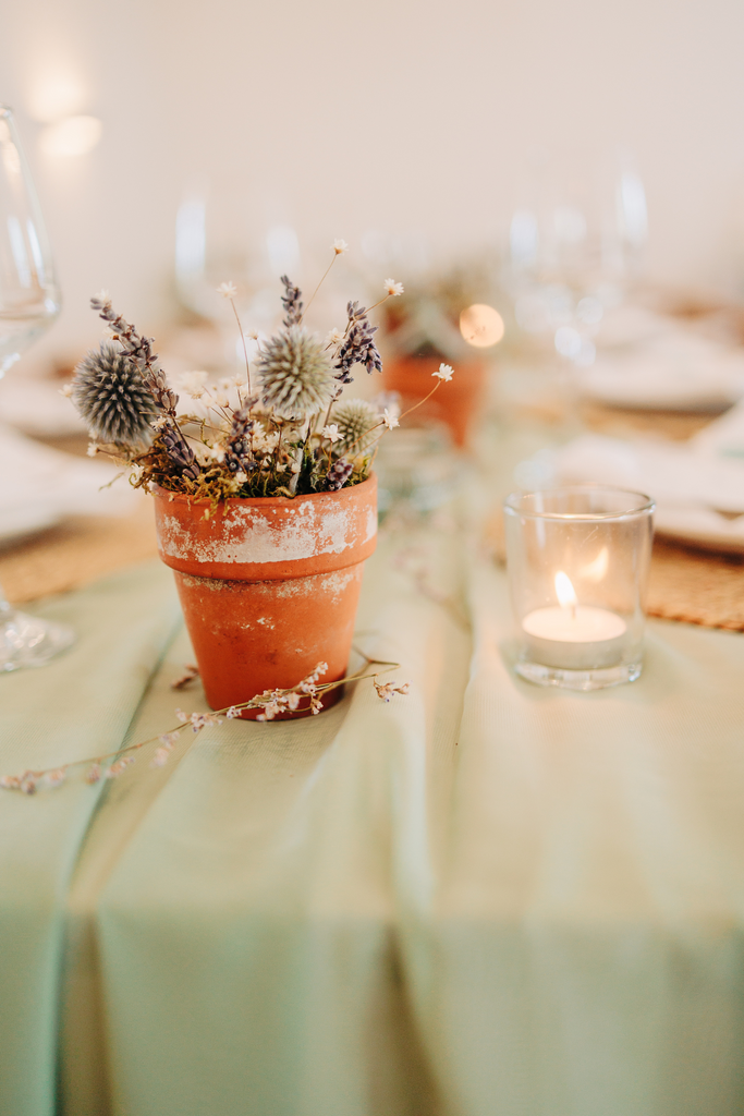 dried flowers in terracotta pot