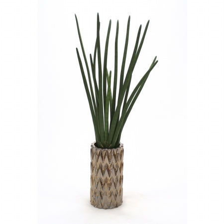 Distinctive Designs International 1909 Sanseveria in Zig Zag Vase- Medium