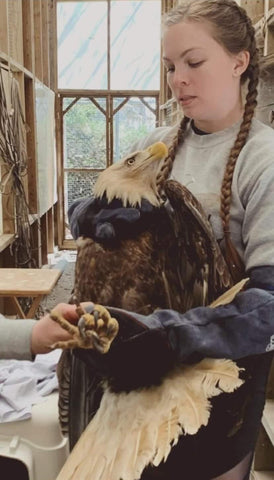 Bald eagle rescued by vintage style blogger Jordan