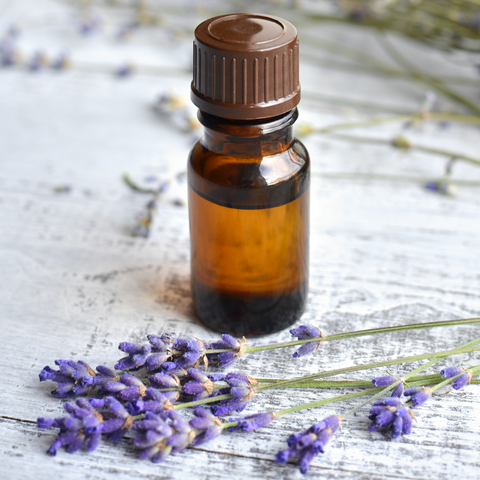 Lavender essential oil properties for natural plant based skin care products