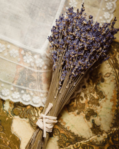 Lavender flower for lavender aromatherapy oil