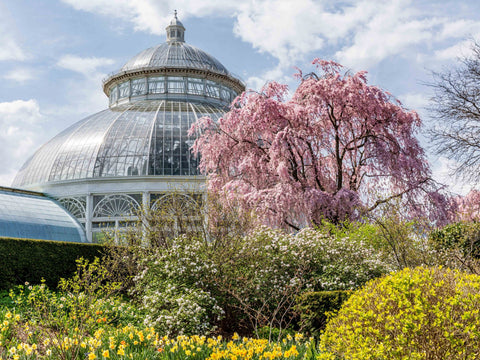 botanic garden new york city