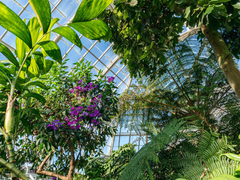 conservatory at botanic garden new York