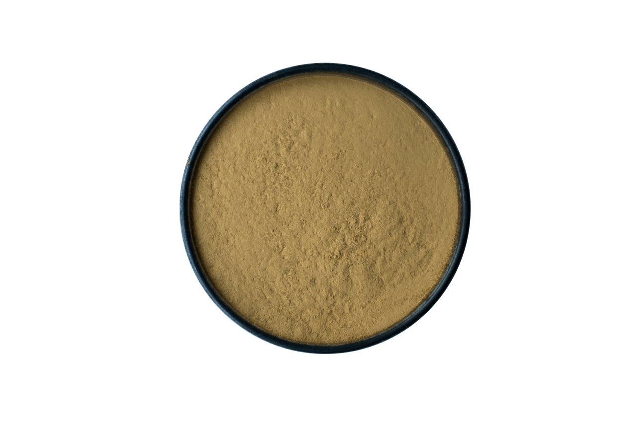 HOJICHA POWDER | 1kg Roasted Green Tea