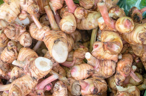 Galangal