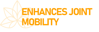 Enhanves joint mobility