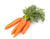 carrot seed oil ingredient natural