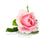 rose flower oil ingredient natural makeup