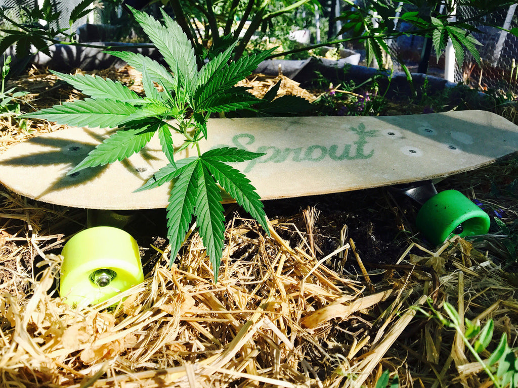 Granny Smith Sports 100% plant based Hemp skateboard handmade in USA