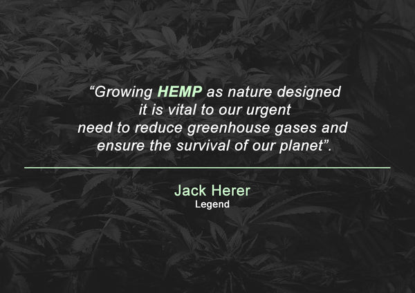 Famous cannabis hemp quotes 