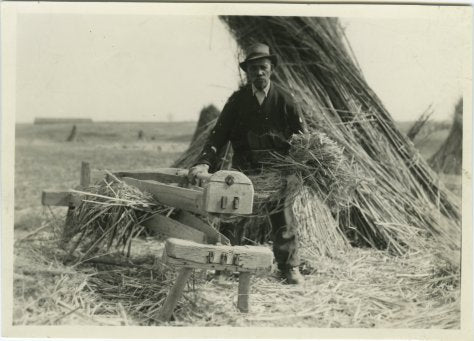 Industrial hemp field