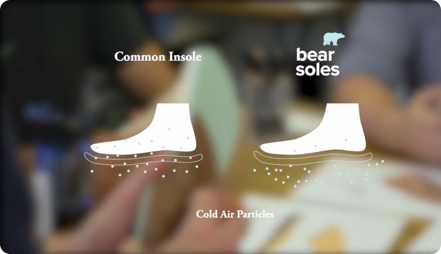 bear soles