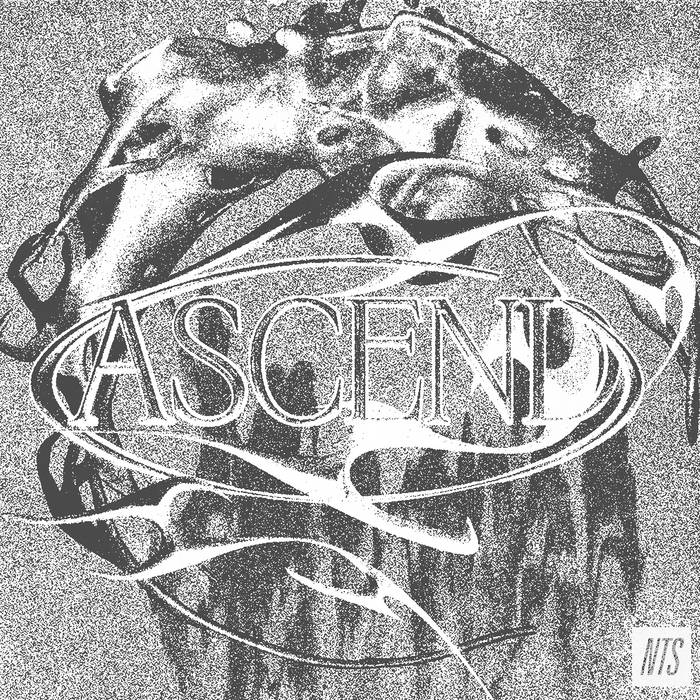 Ascend NTS Album Cover