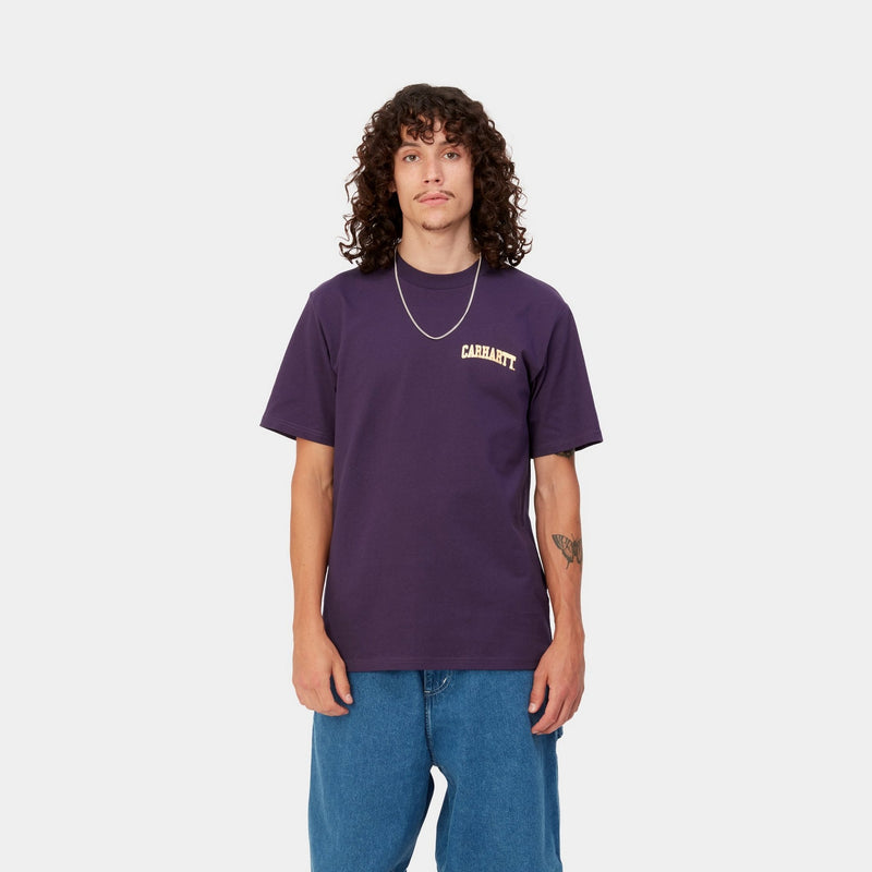 Carhartt WIP CHASE - T-shirt basique - violanda/violet 