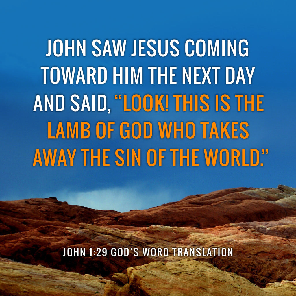 John 1:29 GW