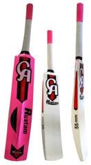 CA softball cricket bat