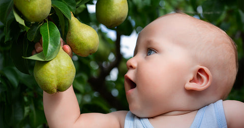 bebé con una fruta