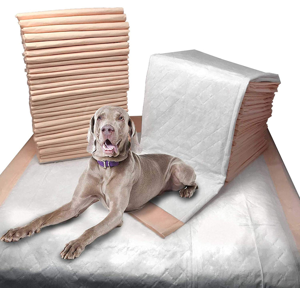XXL ULTRA Dog Training Pads - The Best Training Mats for ...
